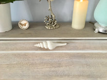 Spiral Shell Drawer Pull