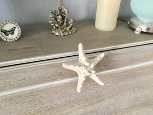 Starfish Drawer Pull